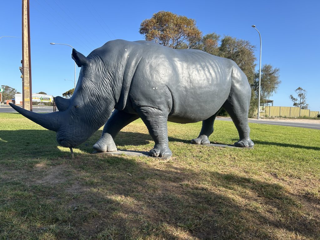 Big Rhino