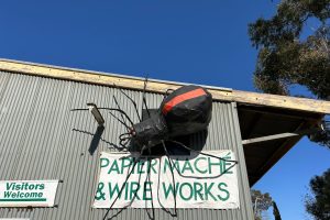 The Big Redback