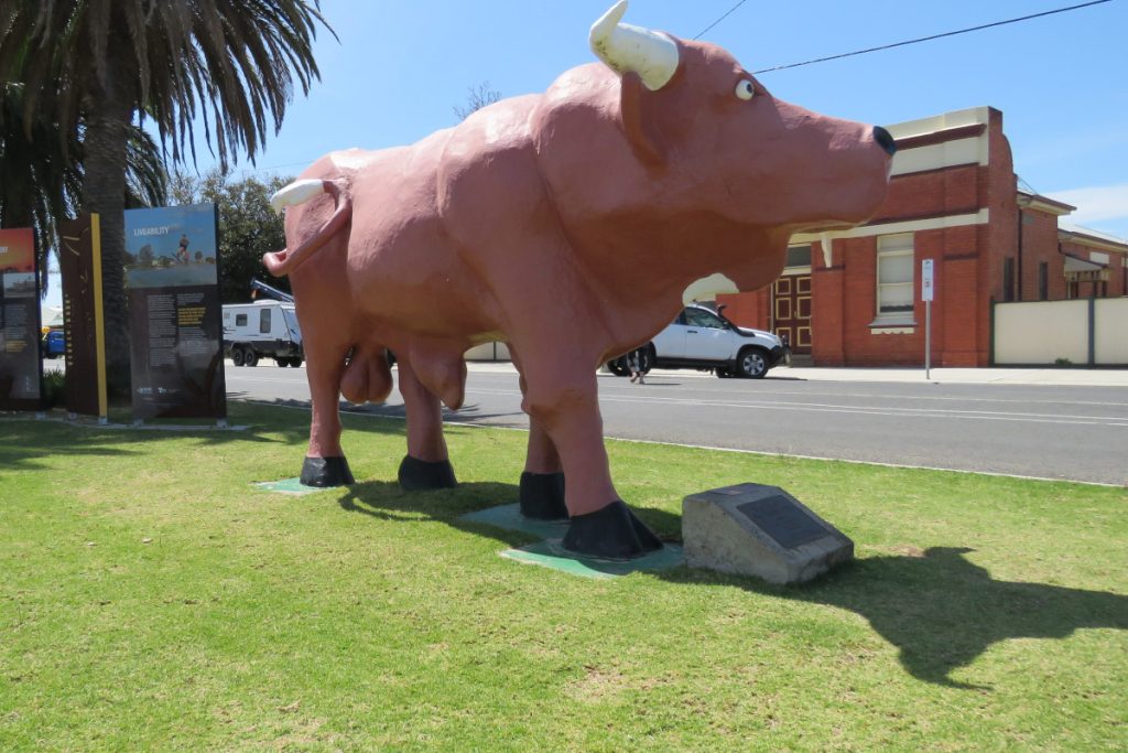 The Big Mallee Bull